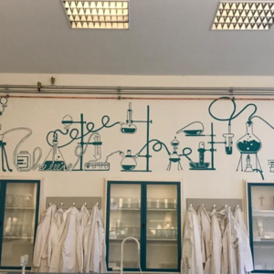 Muurschilderingen wetenschapslokalen